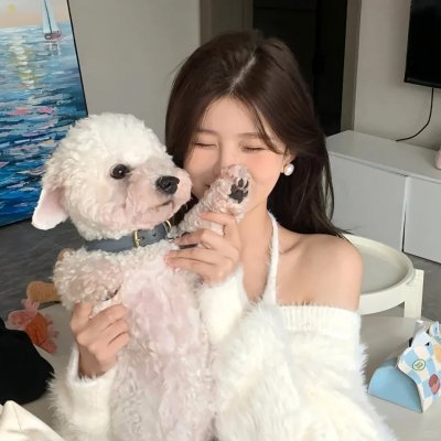 牛皮