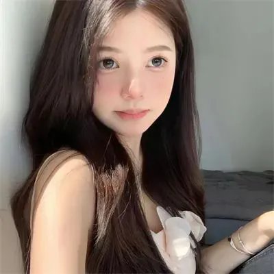 兔子镇的火狐狸
